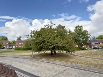 Picture 2